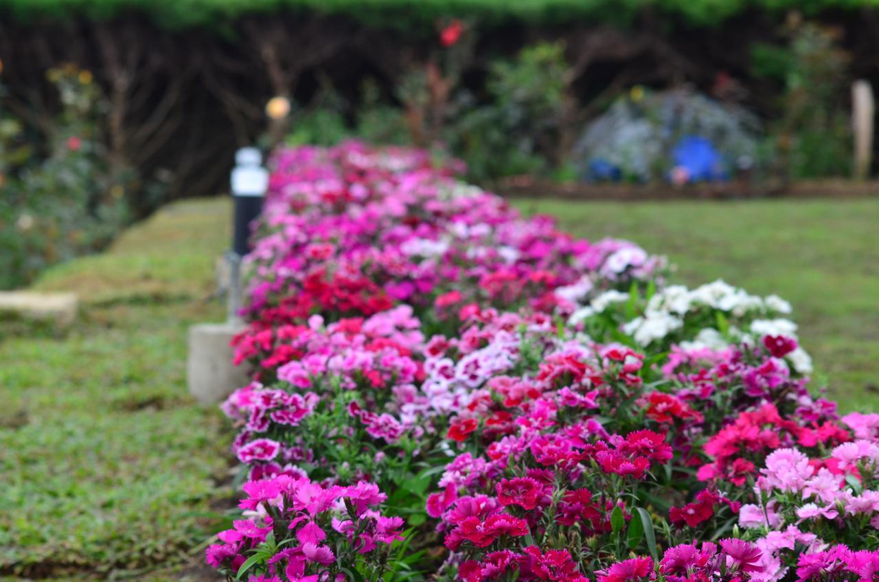 Ripon Grand Hill By Ehi Nuwara Eliya Exterior foto
